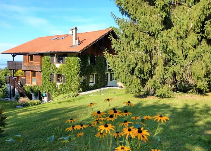 Domaine de l'Olifant